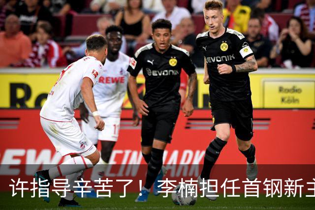 许指导辛苦了！李楠担任首钢新主帅 赵睿态度非争冠唯一障碍